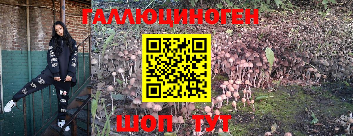 Галлюциногенные грибы Cubensis Мичуринск