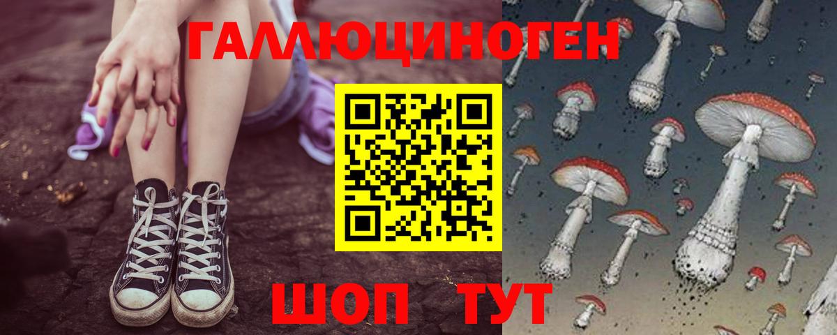 Мичуринск  Псилоцибиновые грибы мухоморы  Вход с VPN 